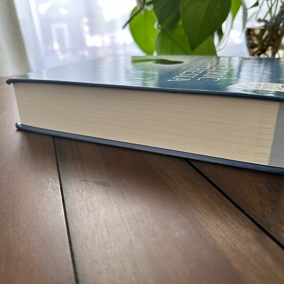 Chestnut's Obstetric Anesthesia: Principles & Practice 6th ed Brand New - Picture 3 of 9